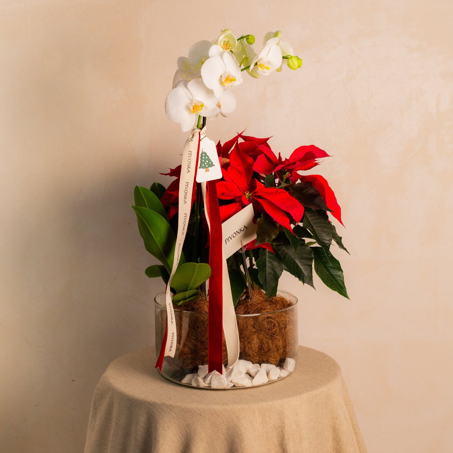 KOKEDAMA MIXTA