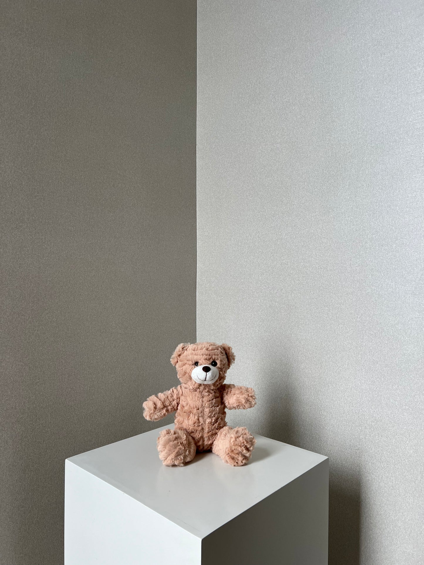 OSO DE PELUCHE