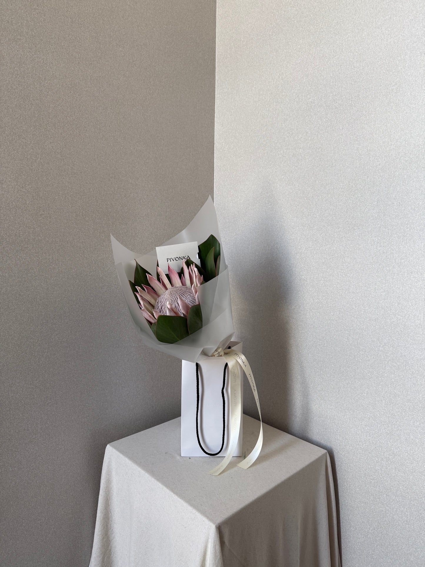 PROTEA KING