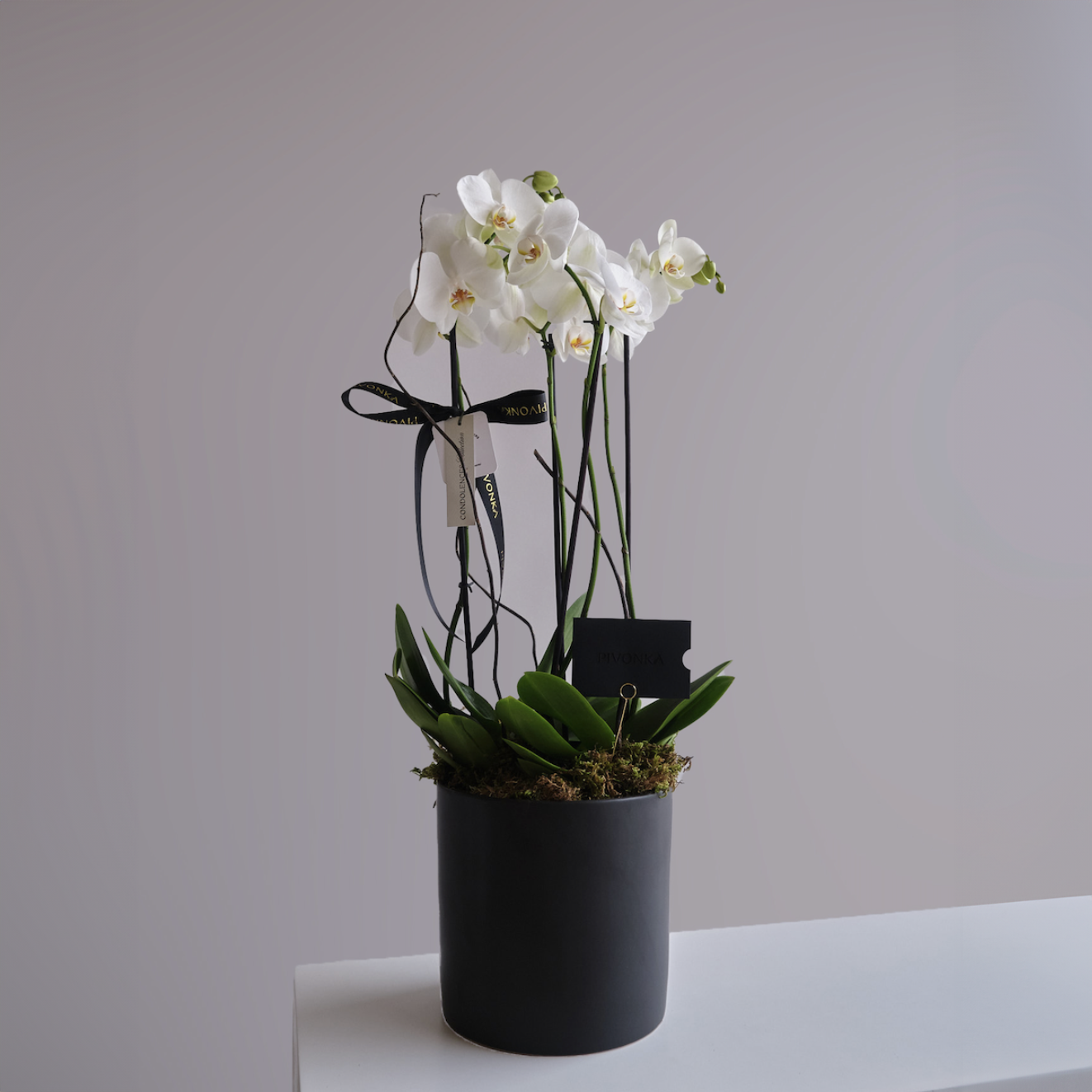 ORQUIDEA MEDIANA EN CERAMICA