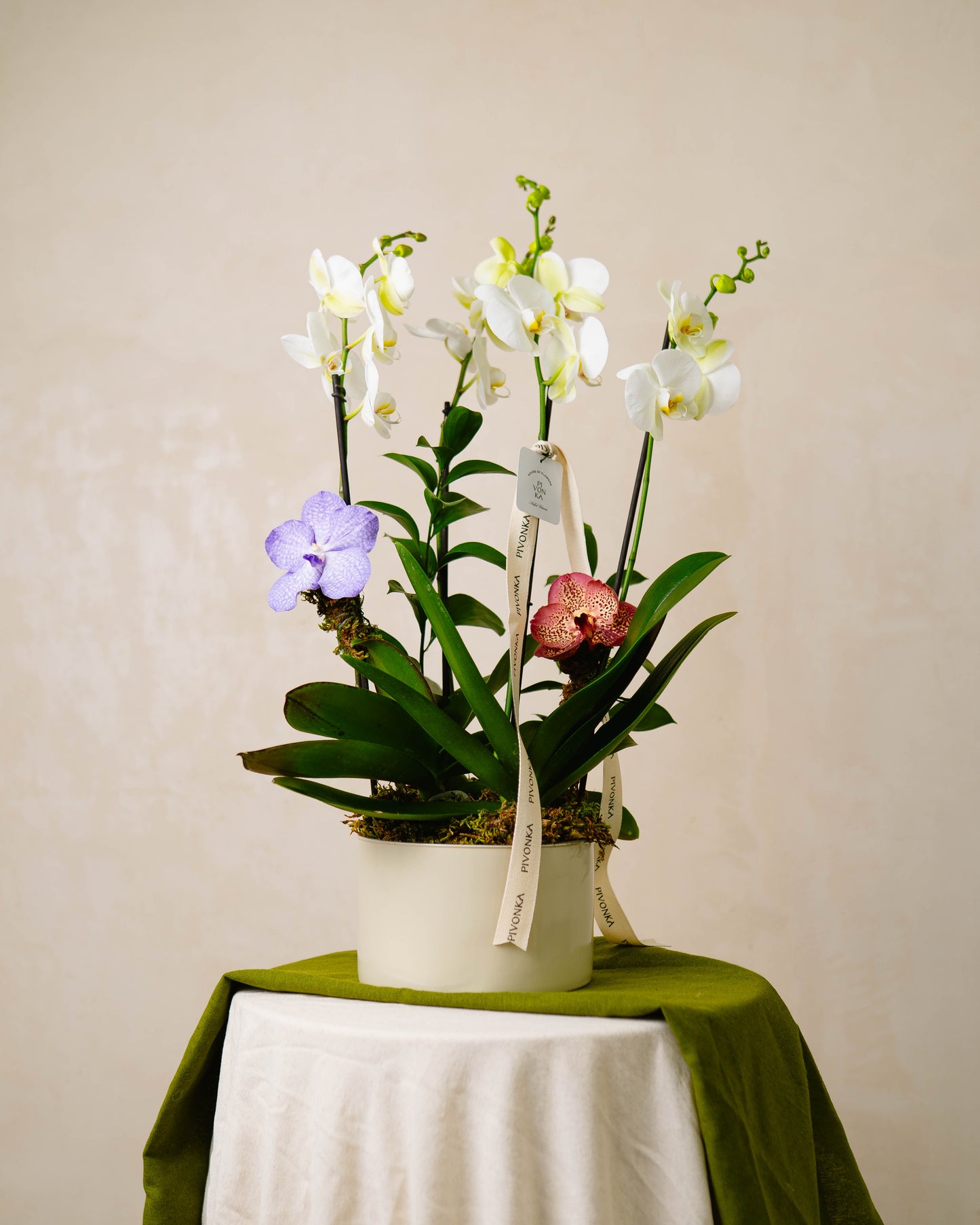 ORQUIDEA DOBLE CON VANDAS