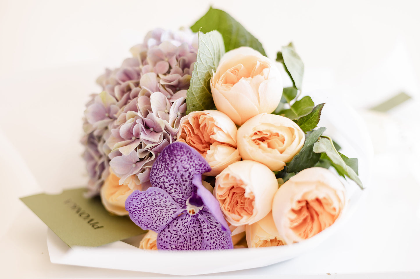 HYDRANGEA ENGLISH BOUQUET