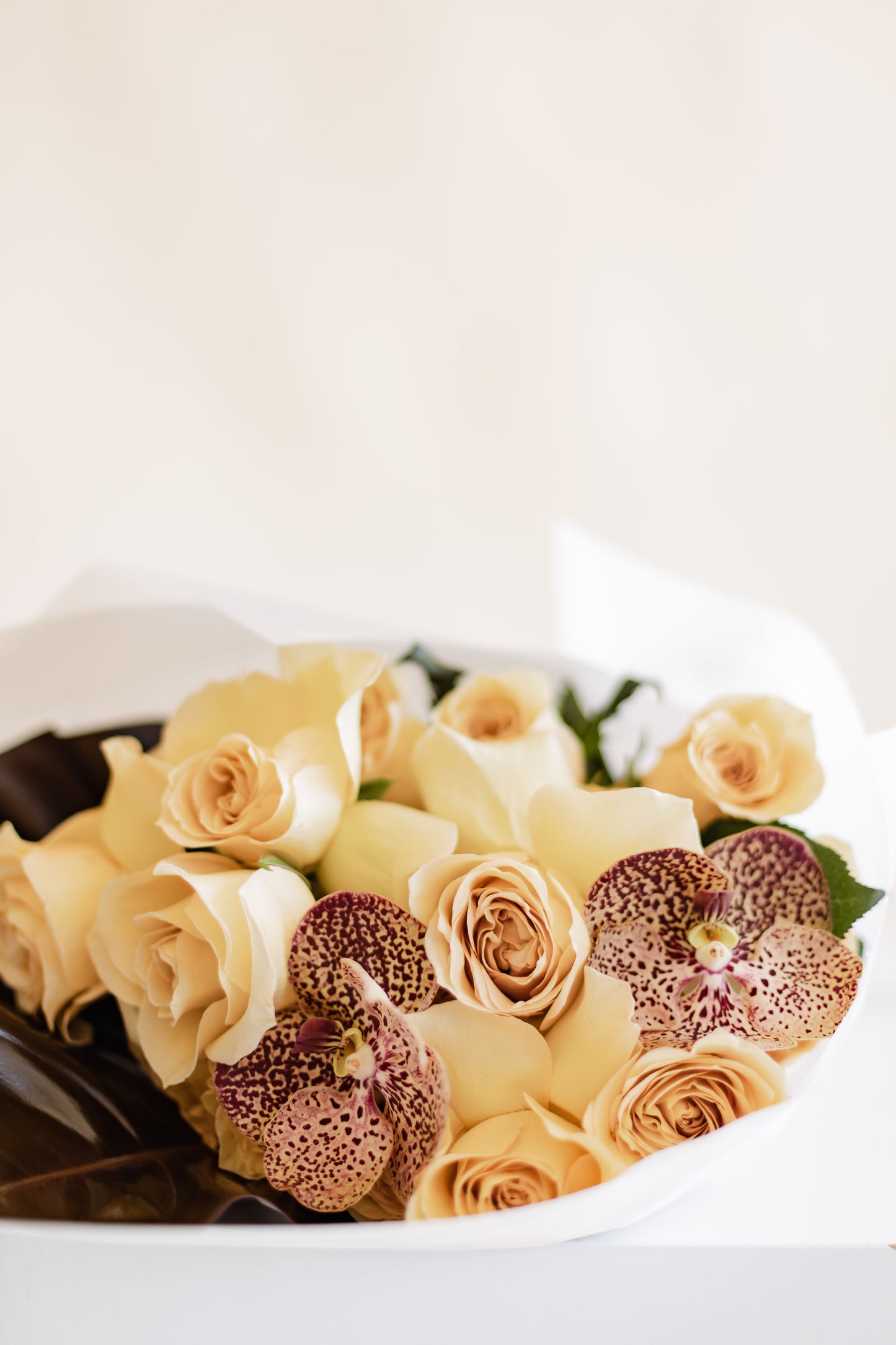 RAYS BOUQUET