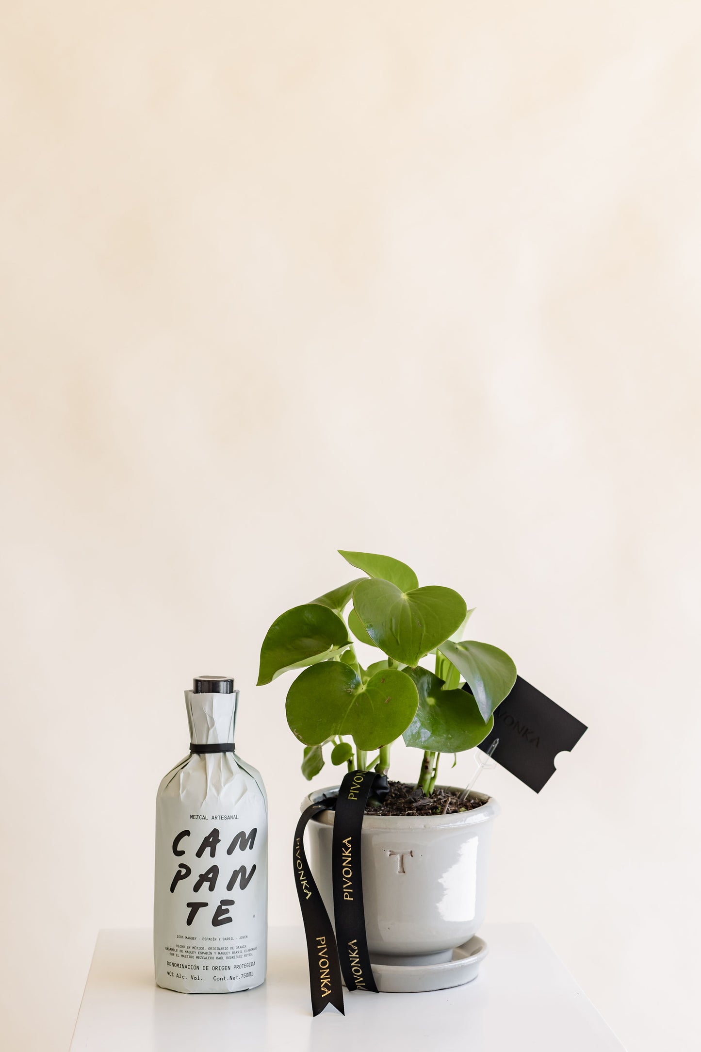 PEPEROMIA + MEZCAL