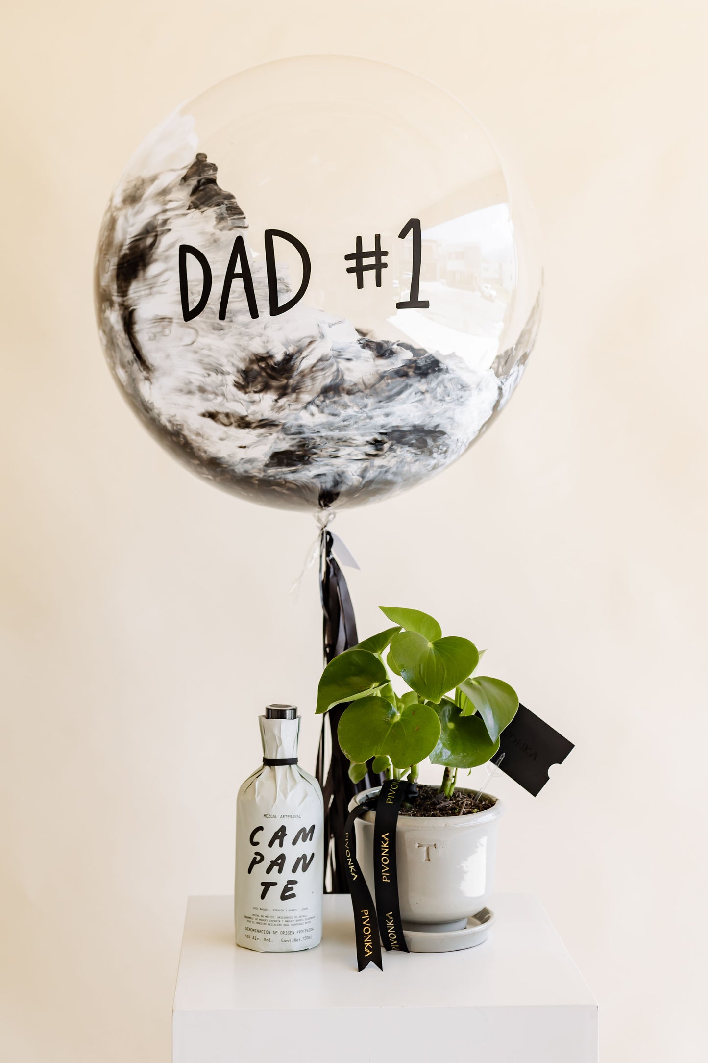 PEPEROMIA + MEZCAL + GLOBO