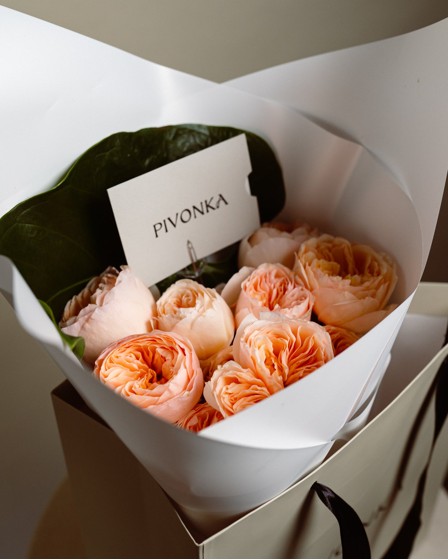 ROSAS INGLESAS