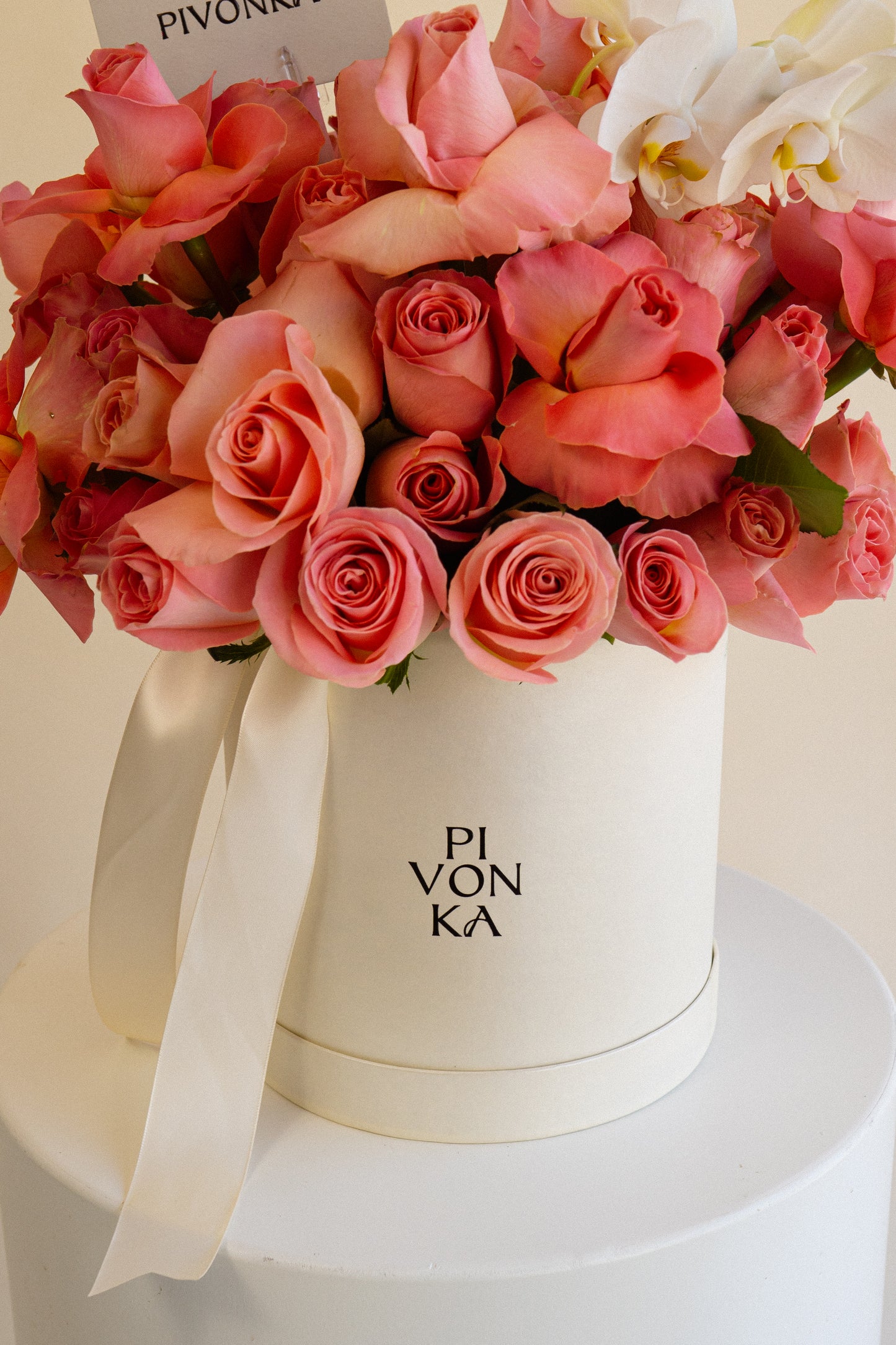 THE CLASSIC PINK + ORCHIDS