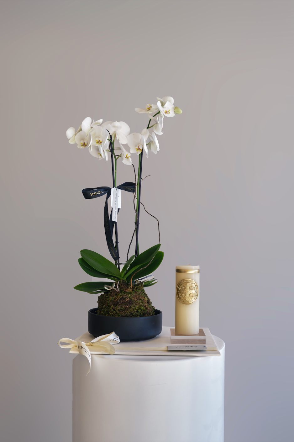 KOKEDAMA ORQUIDEA + CIRIO