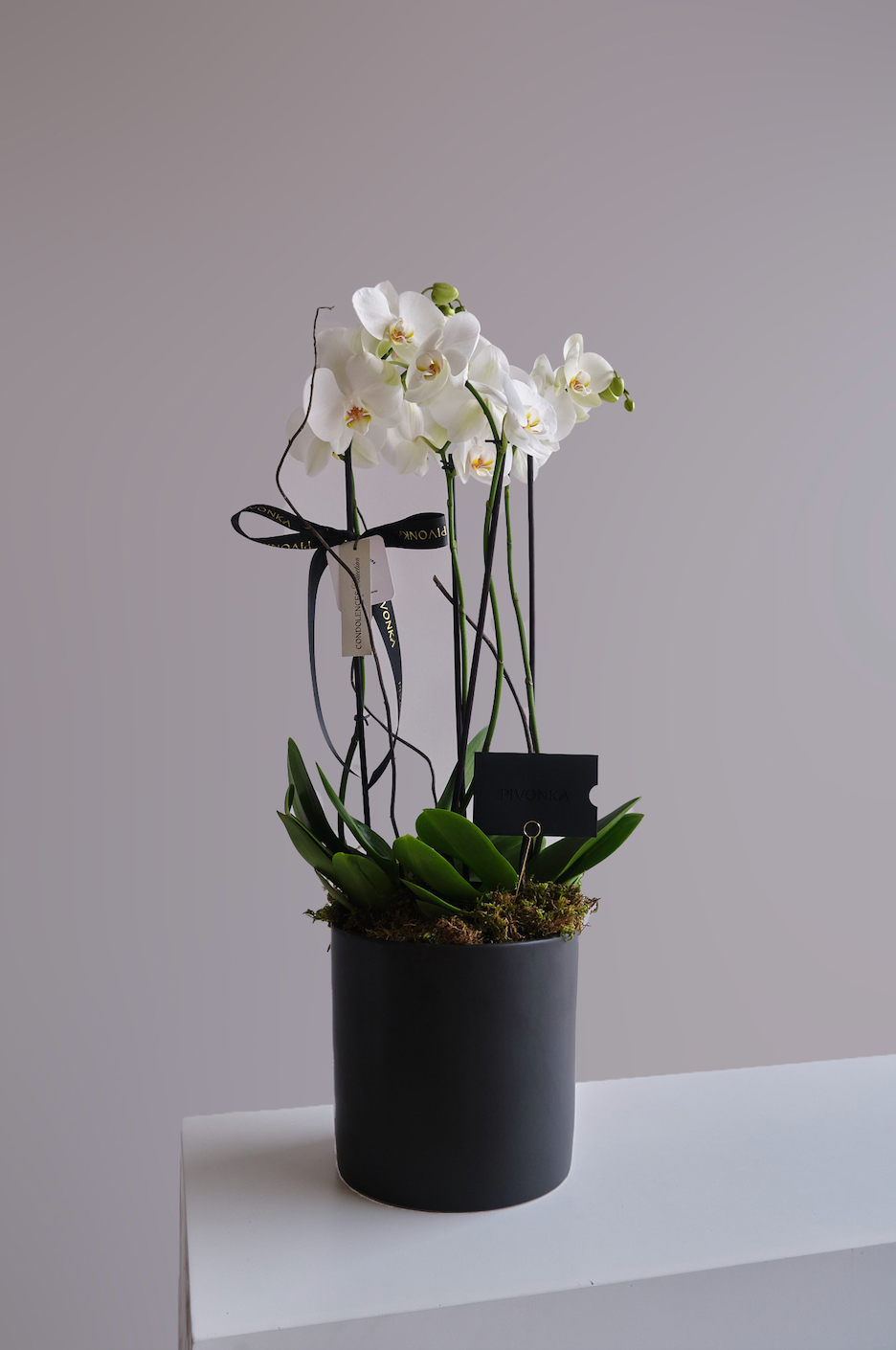 ORQUIDEA MEDIANA EN CERAMICA