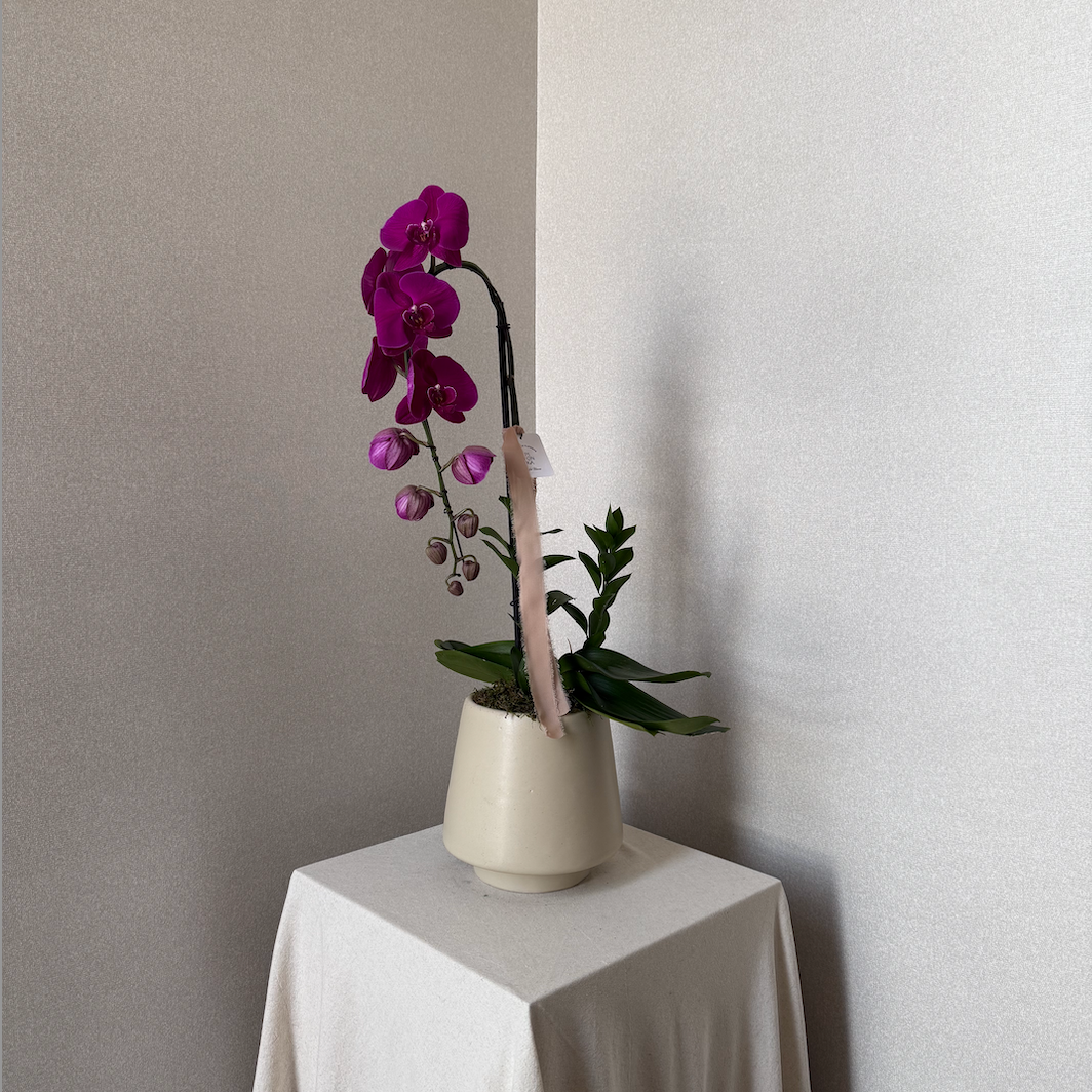 ORQUIDEA CASCADA FUSCIA EN CERAMICA