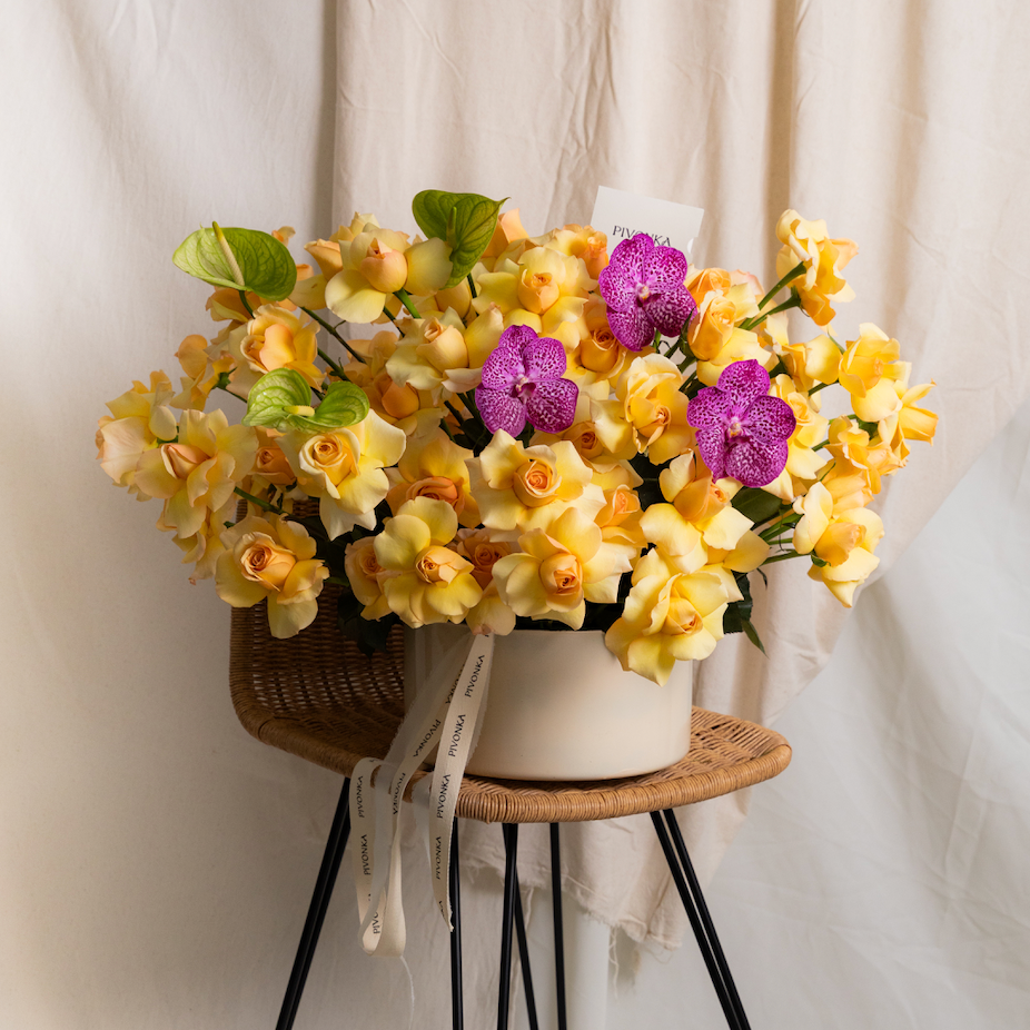 LUZ DE MAMÁ 3