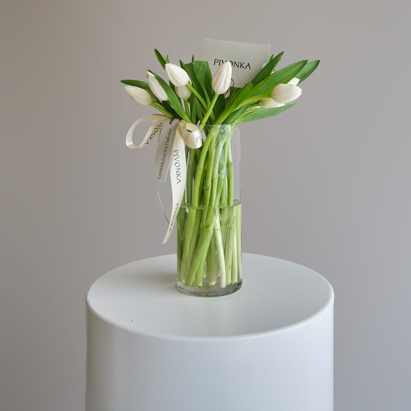 TULIPANES EN BASE