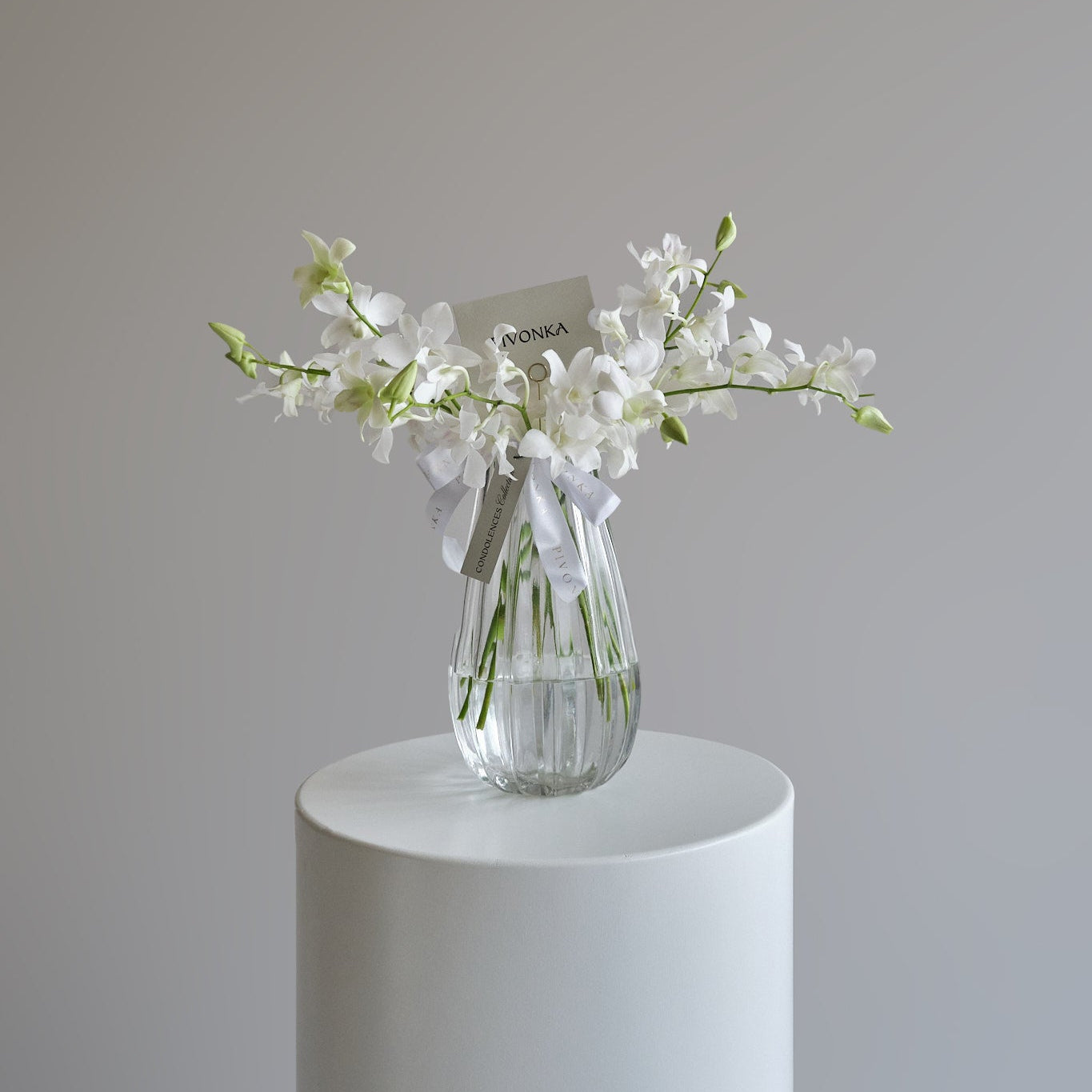 ORQUIDEAS EN BASE DE CRISTAL
