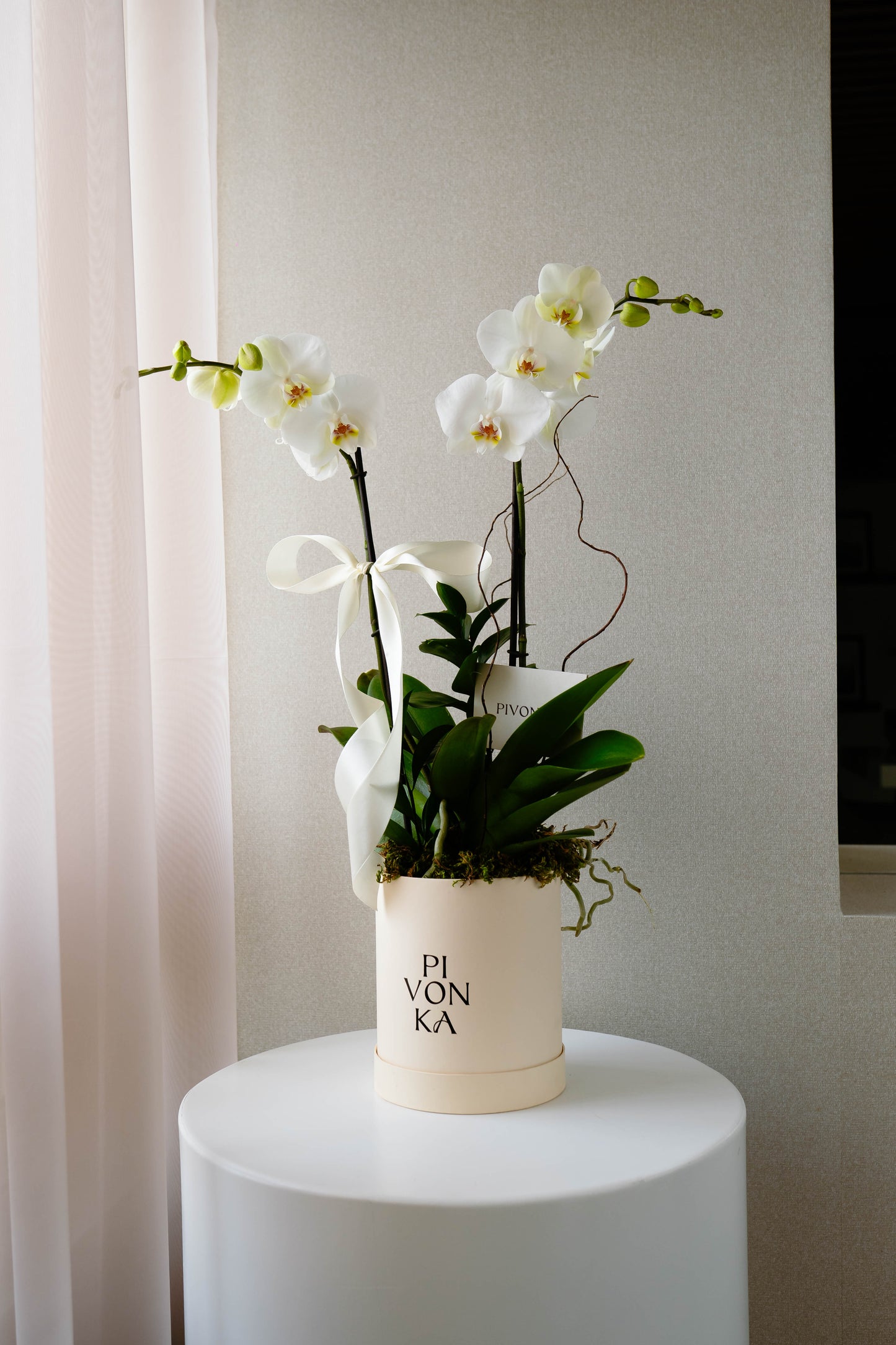 ORQUIDEA EN CAJA BEIGE