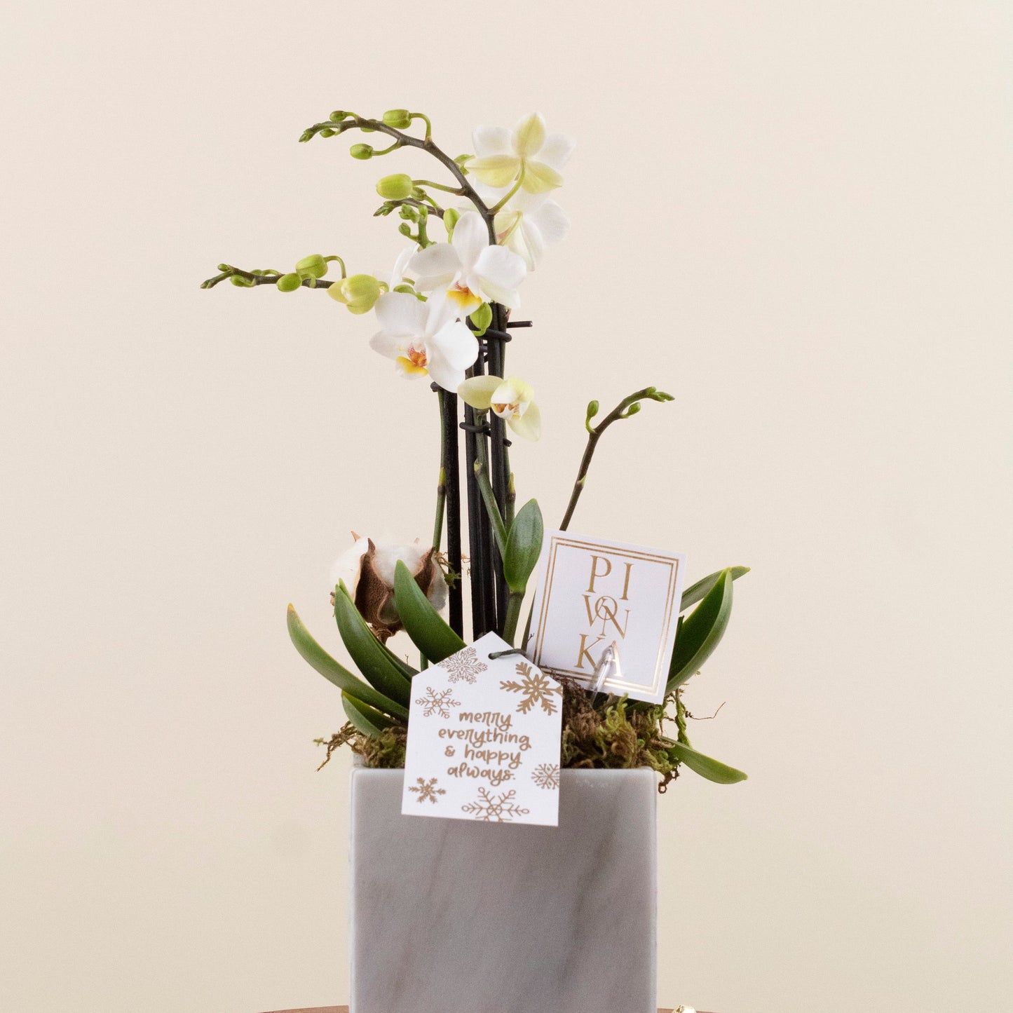 MINI ORQUÍDEA EN MÁRMOL CUADRADA