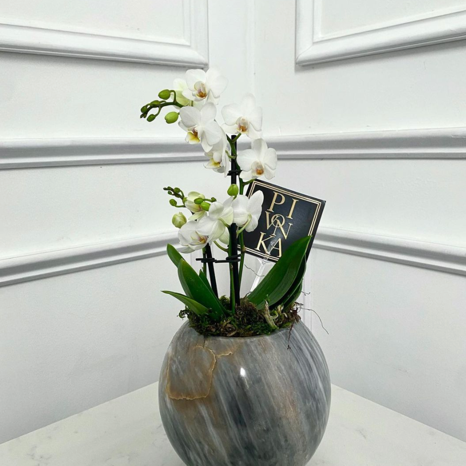 MINI ORQUÍDEA EN MÁRMOL
