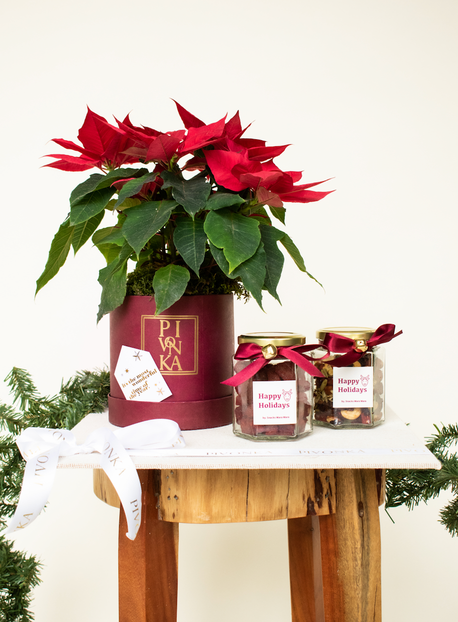 KIT NOCHE BUENA+ JARS