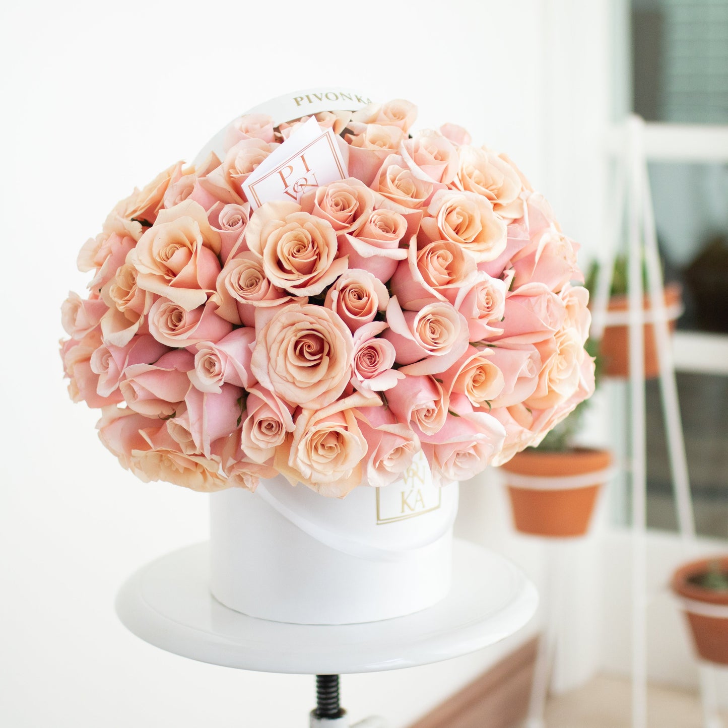 75 ROSES - OPEN BOX