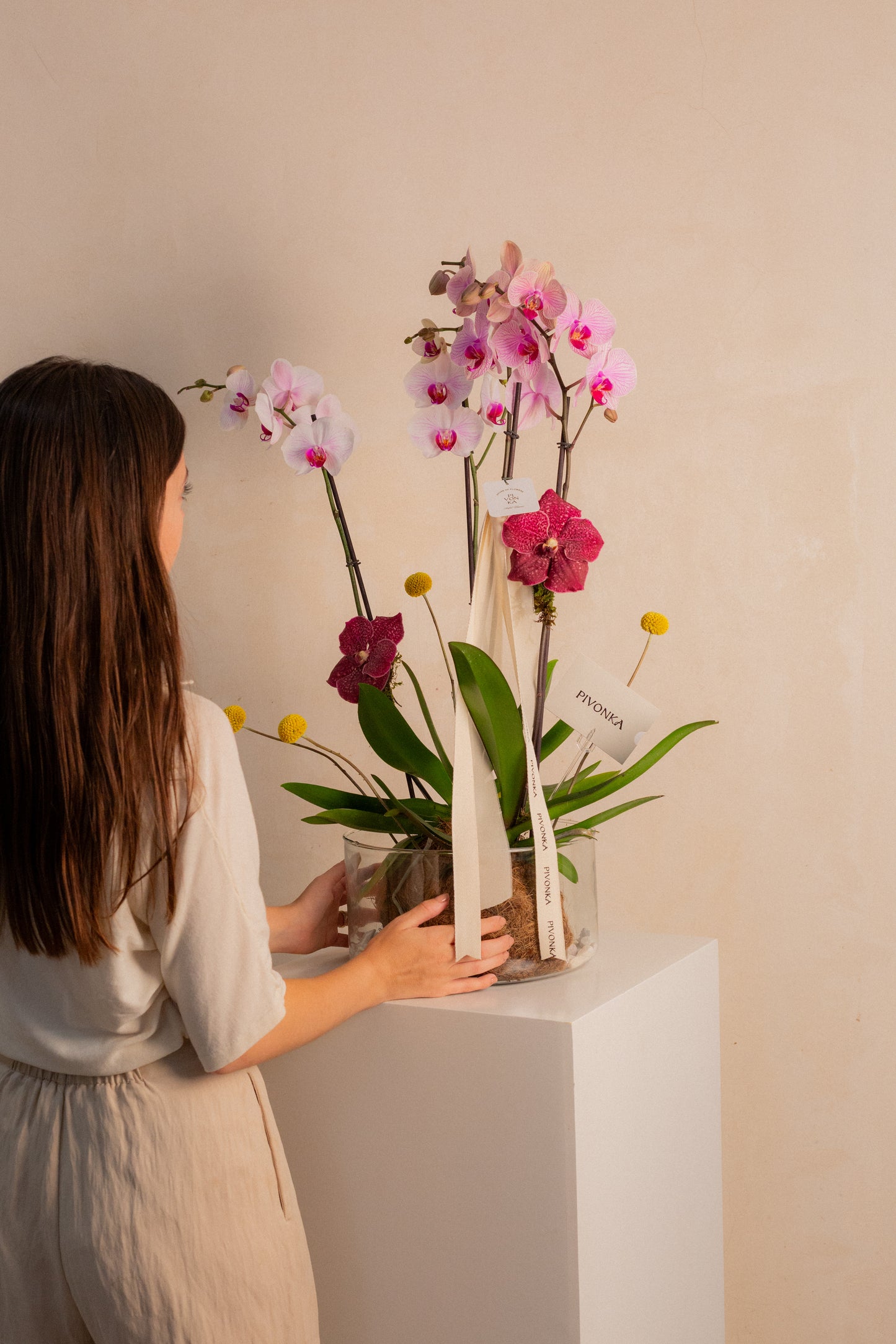 KOKEDAMA DE ORQUIDEA DOBLE EN VIDRIO 1