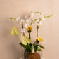 KOKEDAMA DE ORQUIDEA DOBLE EN VIDRIO 2