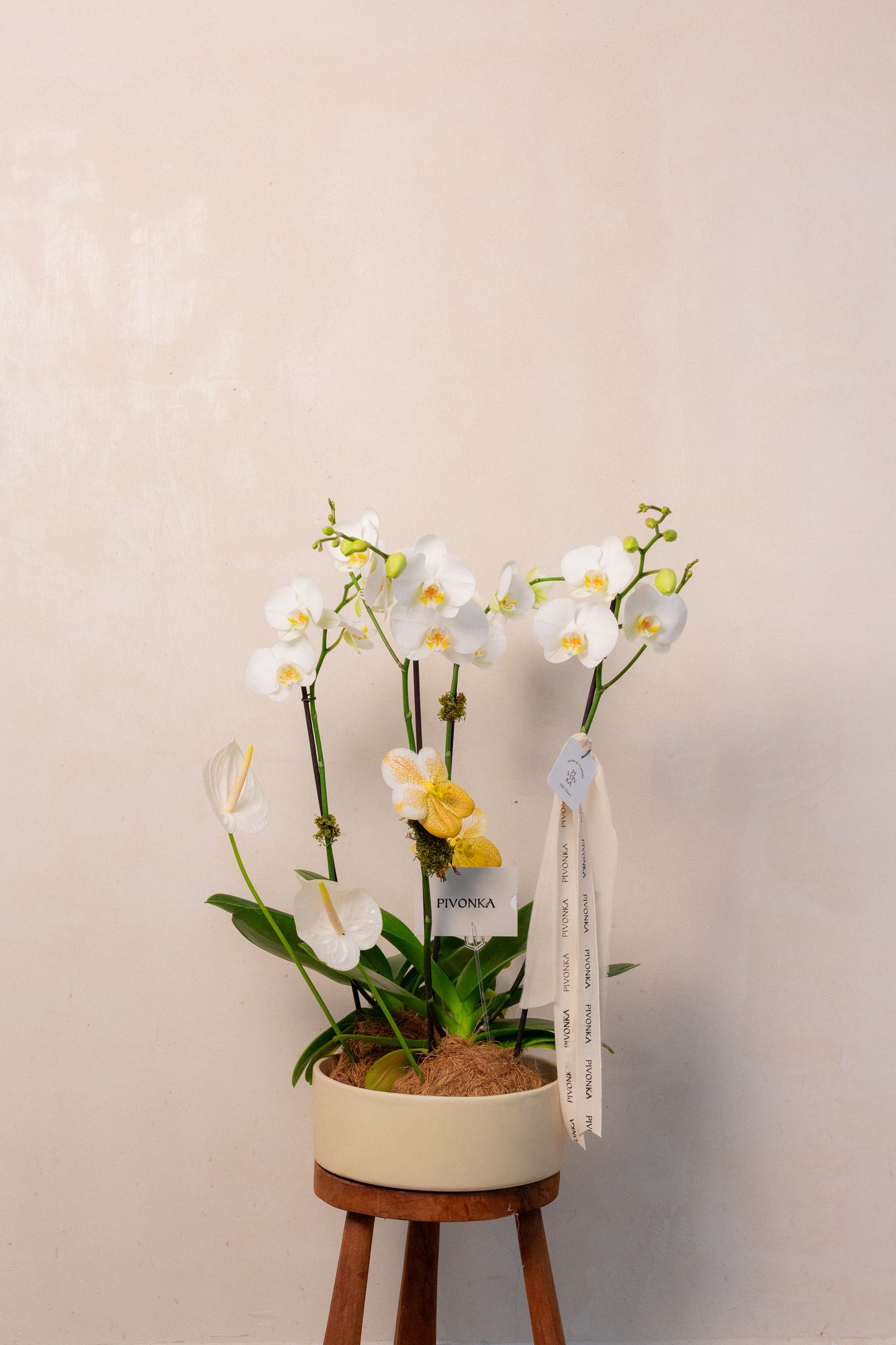 KOKEDAMA DE ORQUIDEA DOBLE EN CERAMICA 1