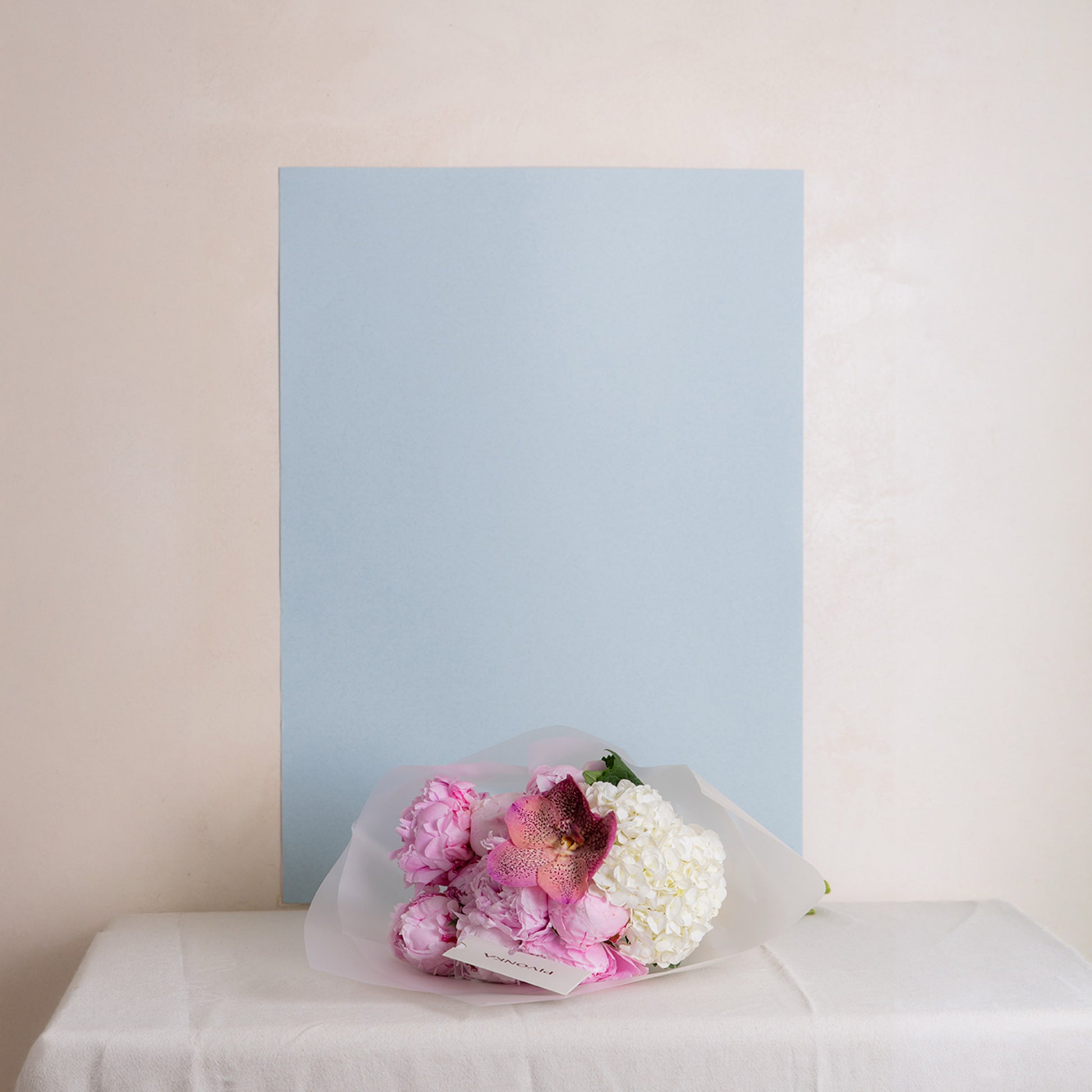 PEONY BLOOM