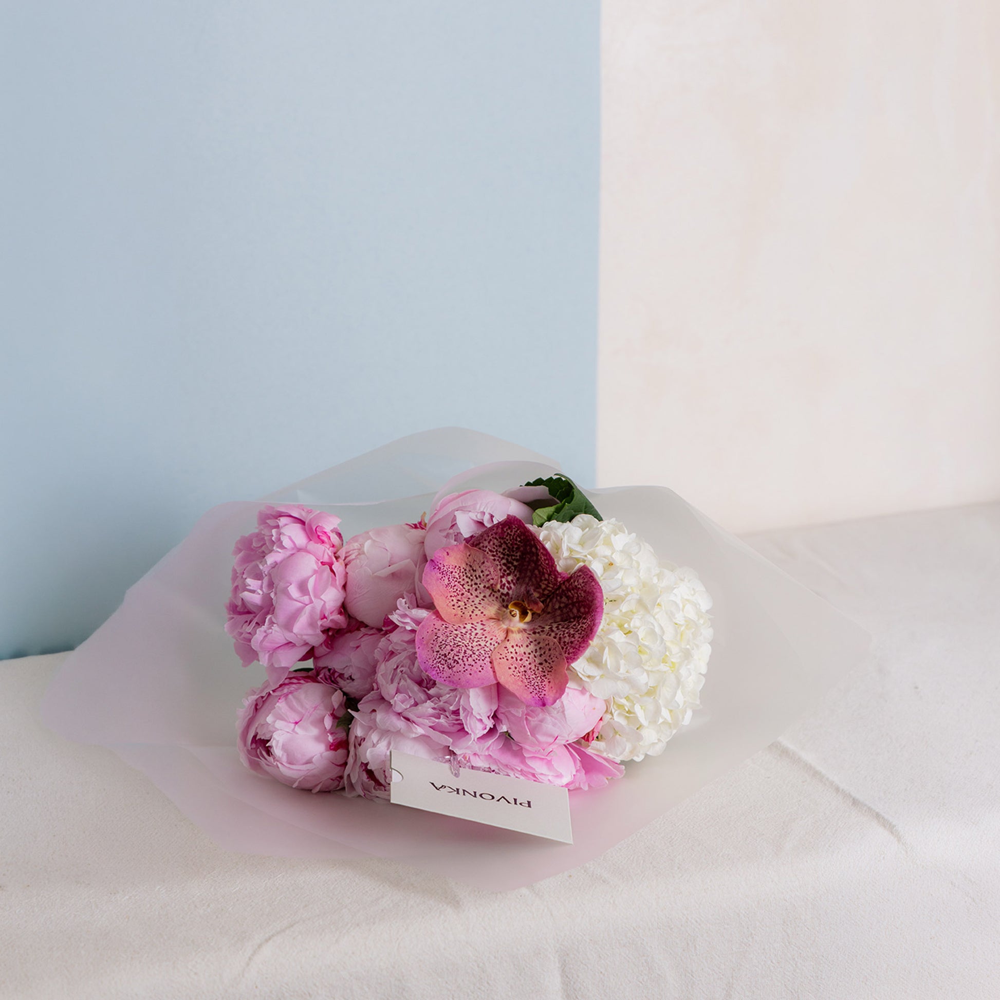 PEONY BLOOM