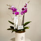 Orquídeas para mamá