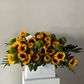 SUNFLOWERS XL