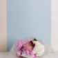 PEONY BLOOM