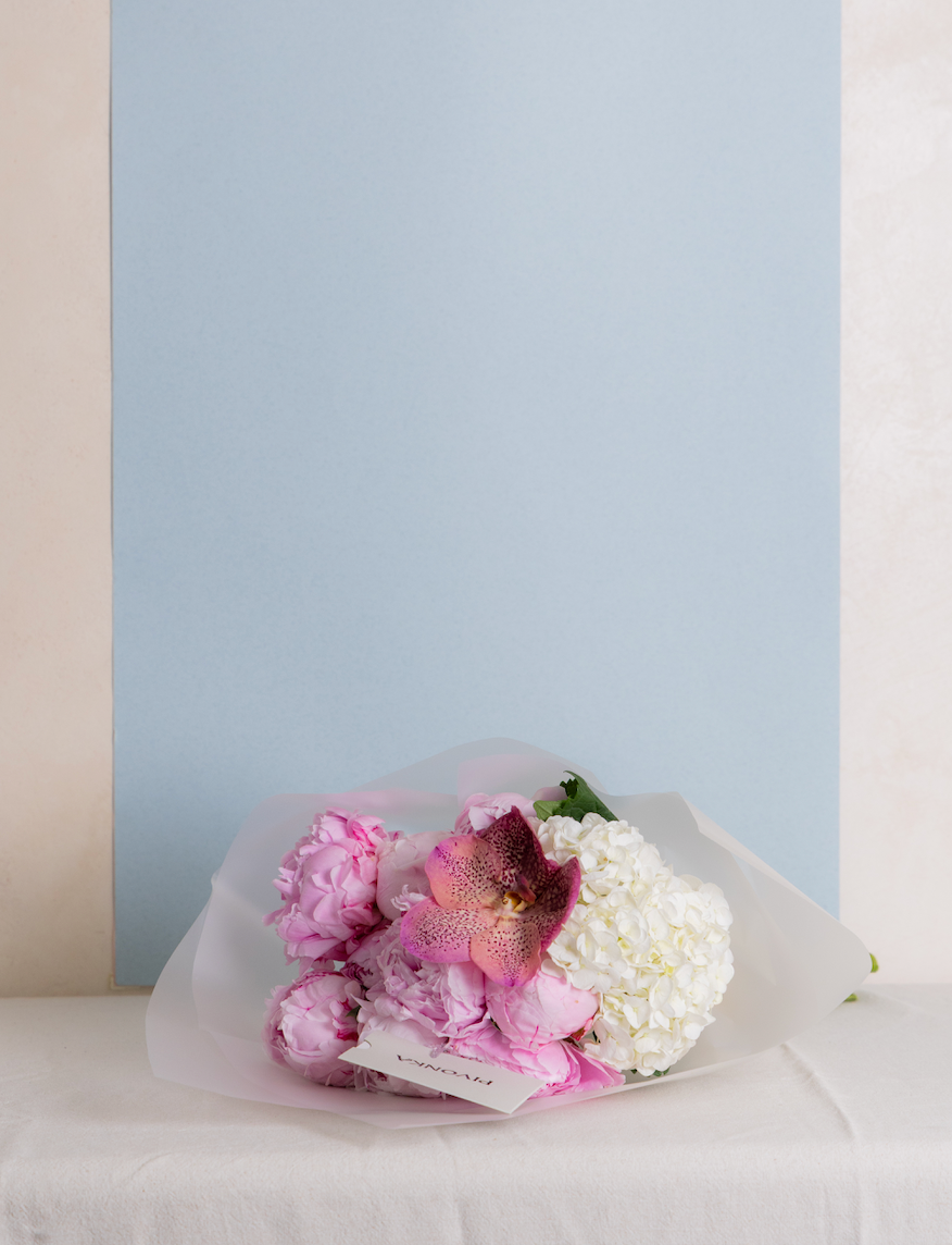 PEONY BLOOM