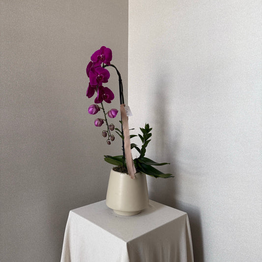 ORQUIDEA CASCADA FUSCIA EN CERAMICA
