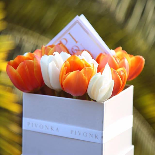 Pivonka Flores. Tulipanes en caja cuadrada. 
