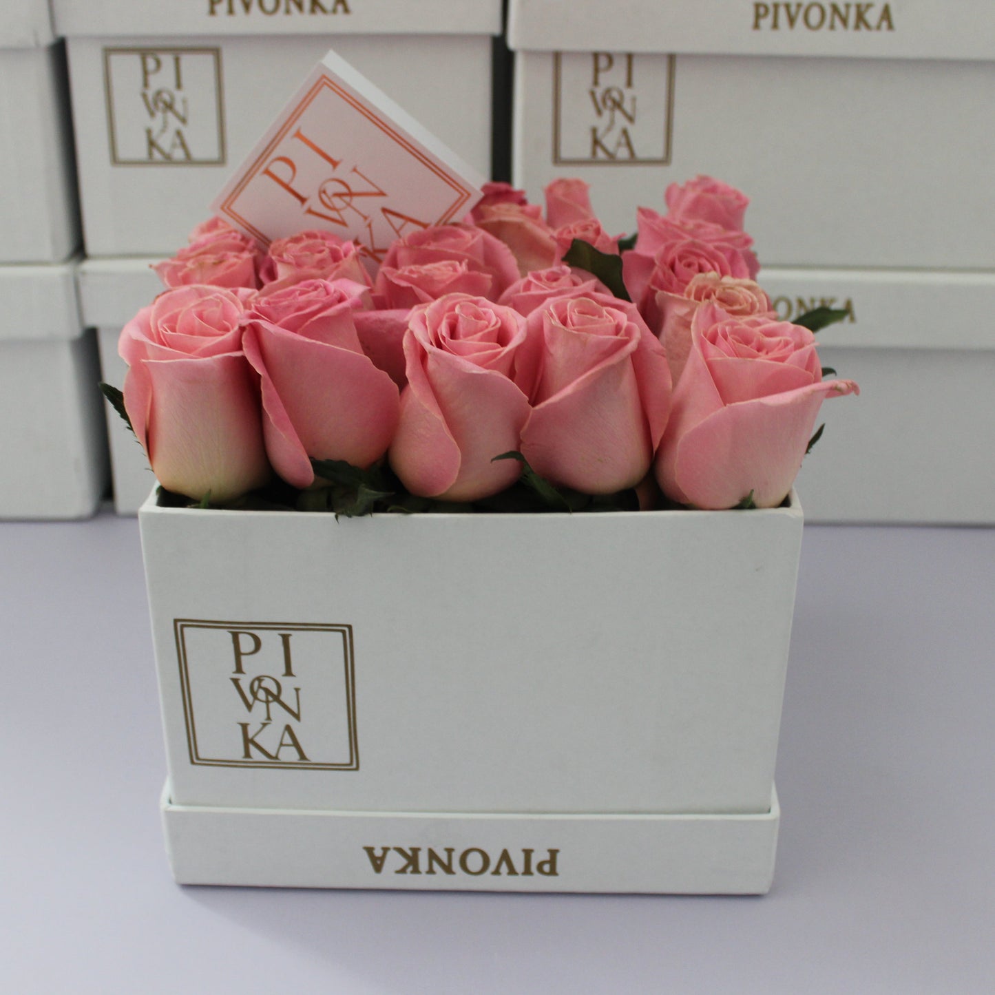 Pivonka Flores. Arreglo cuadrangular de 25 rosas rosas en base blanca