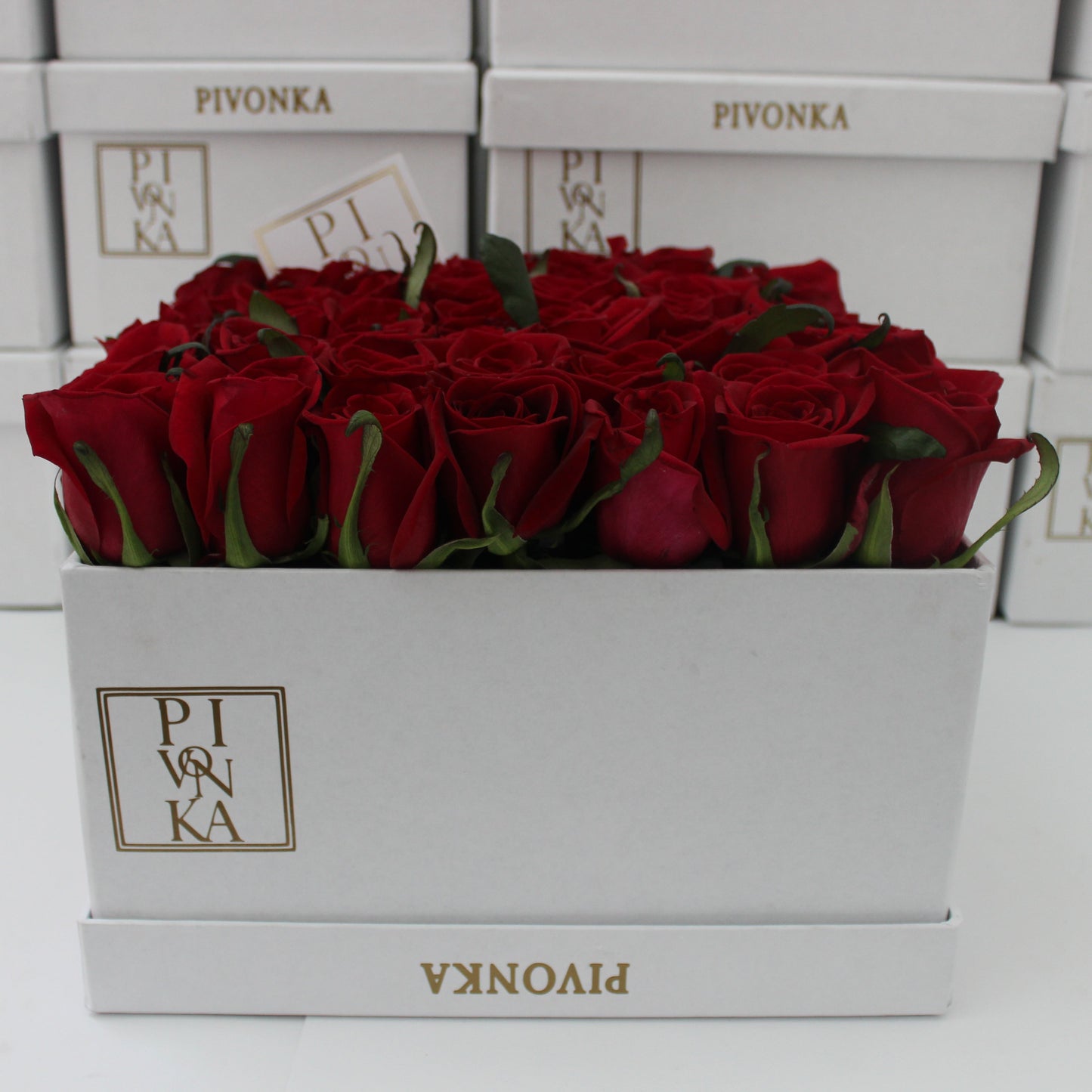 Pivonka Flores. Arreglo cuadrangular de 50 rosas rojas en base blanca