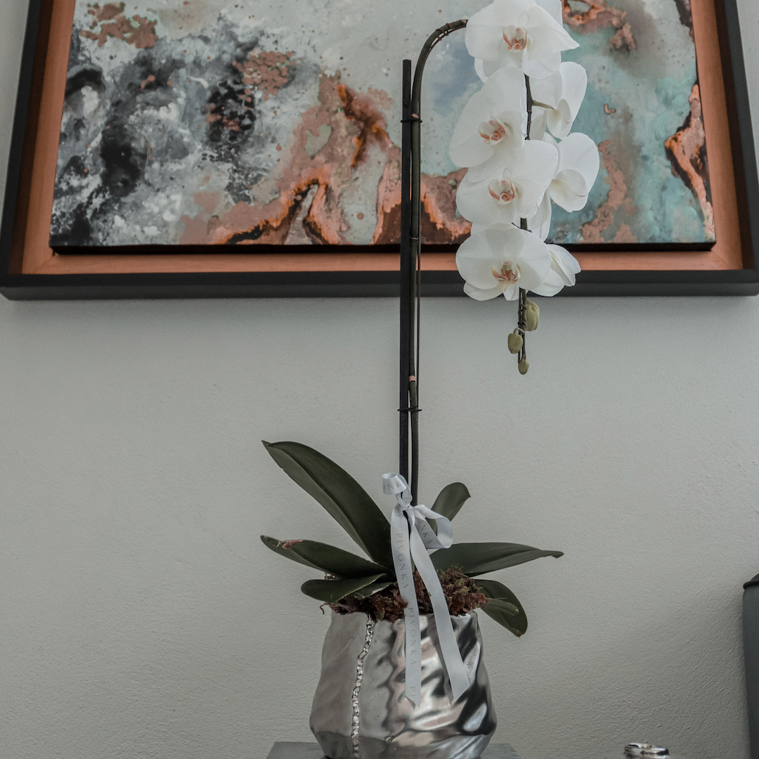 Orquídea de cascada en base plateada